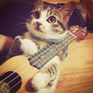 日本小视频在线
